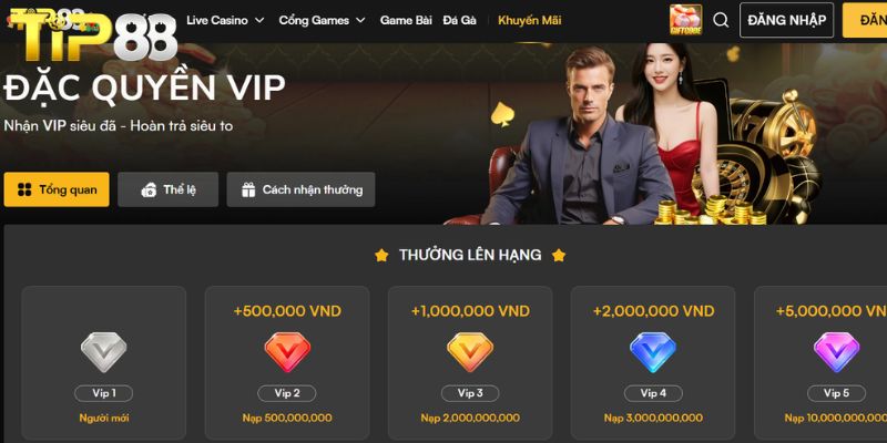 Khuyến Mãi TIP88 – Tổng Hợp Ưu Đãi Hấp Dẫn Dành Cho Bet Thủ Những gói khuyến mãi khác trên TIP88